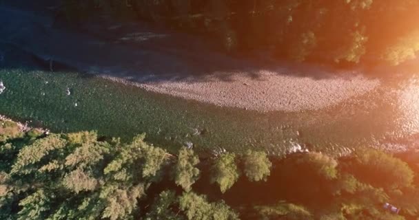 Mittlerer Luftflug über den frischen und sauberen Gebirgsfluss an einem sonnigen Sommermorgen. Vertikale Bewegung — Stockvideo