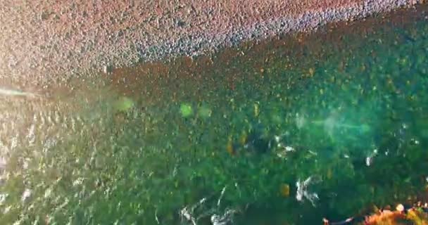 Vuelo en medio del aire sobre un río de montaña fresco y limpio en la soleada mañana de verano. Movimiento vertical — Vídeo de stock