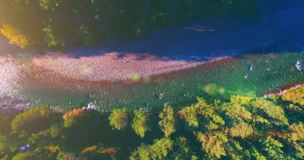 Mid air flight over fresh and clean mountain river at sunny summer morning. Vertical movement — Stock Video