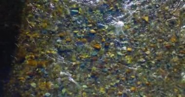 Güneşli yaz sabahında temiz ve taze bir dağ nehri üzerinde uçuşun ortasındayız. Üst görünüm ve yatay hareket