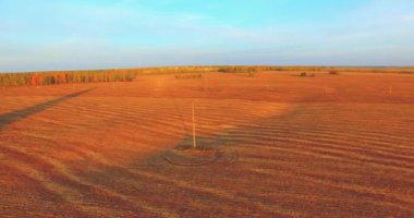 UHD 4k havadan görünümü. Havada uçak sarı kırsal alanın üzerinde