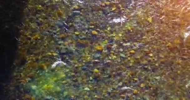 Mid air flight over fresh and clean mountain river at sunny summer morning. Top view and horizontal movement — Stock Video