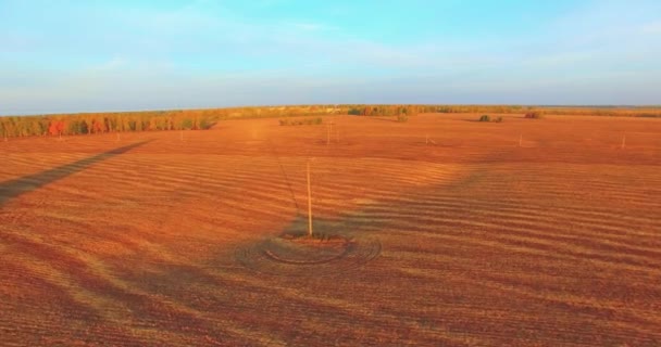 UHD 4K aerial view. Mid-air flight over yellow rural field — Stock Video