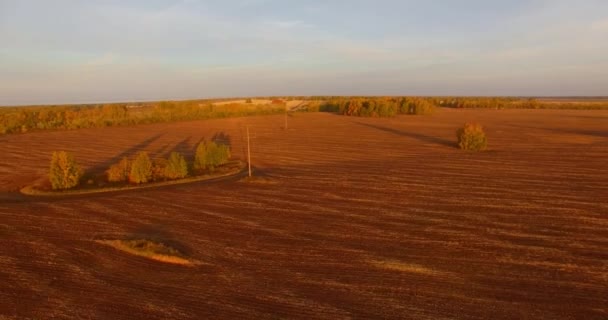UHD 4K vista aérea. Vuelo en el aire sobre el campo rural amarillo — Vídeo de stock