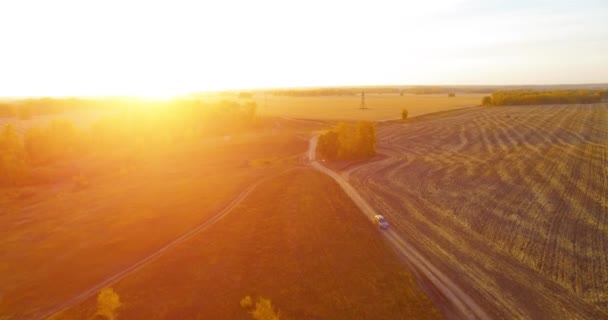 UHD 4K légi felvétel. Középlevegős repülés sárga vidéki területen és földúton — Stock videók