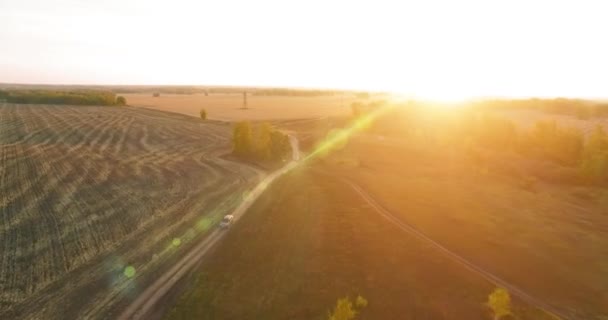 UHD 4K flygvy. Mid-air flygning över gul landsbygd och grusväg — Stockvideo