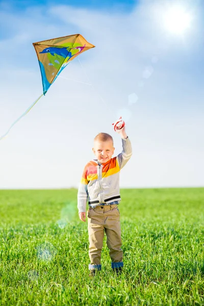 Genç çocuk onun uçurtma yeşil alan ile oynarken.