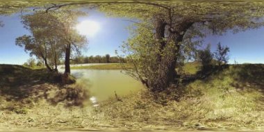 UHD 4K 360 VR Bir nehrin Sanal Gerçekliği güzel dağ ormanlarında kayaların üzerinden akıyor