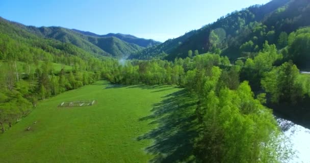 Volo a mezz'aria sul fiume fresco di montagna e prato al soleggiato mattino d'estate. Strada sterrata rurale sotto . — Video Stock