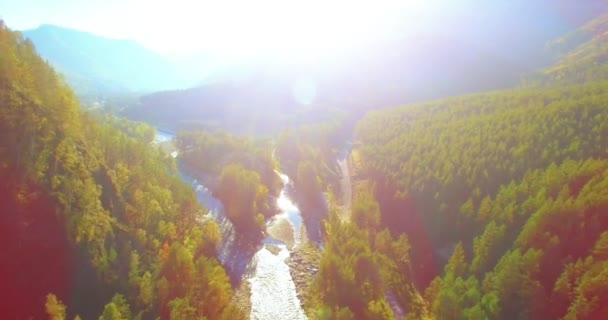 Vôo a meio do ar sobre o rio e o prado frescos da montanha na manhã ensolarada do verão. Estrada de terra rural abaixo. — Vídeo de Stock