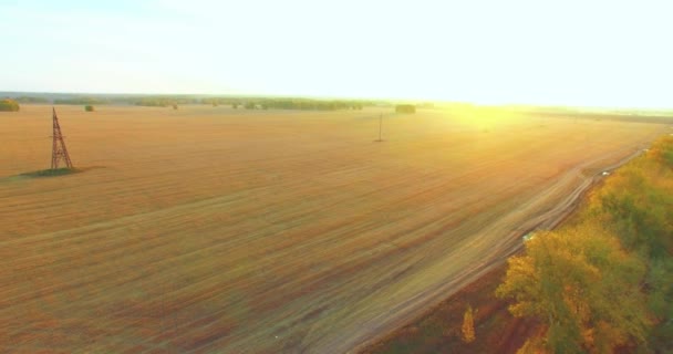 UHD 4K vedere aeriană. Zbor în aer peste câmp rural galben și drum de murdărie — Videoclip de stoc