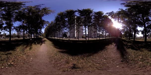 UHD 4K 360 VR Realtà Virtuale di un'area ricreativa del parco cittadino. Alberi ed erba verde al giorno d'autunno o d'estate — Video Stock