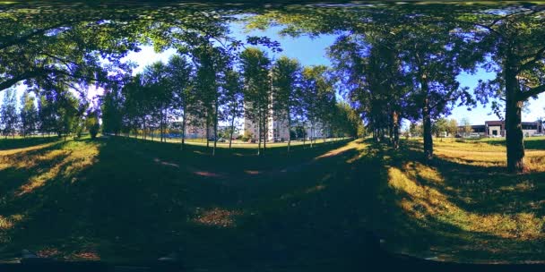 UHD 4K 360 VR Réalité virtuelle d'un parc municipal zone de loisirs. Arbres et herbe verte le jour d'automne ou d'été
