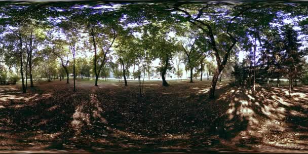 UHD 4K 360 VR Réalité virtuelle d'un parc municipal zone de loisirs. Arbres et herbe verte le jour d'automne ou d'été