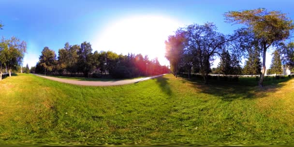 UHD 4K 360 VR Realidad virtual de un área recreativa del parque de la ciudad. Árboles y hierba verde en el día de otoño o verano — Vídeos de Stock