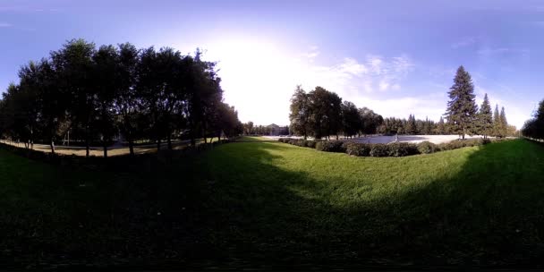 UHD 4K 360 VR A városi park szabadidős területének virtuális valósága. Fák és zöld fű ősszel vagy nyáron — Stock videók