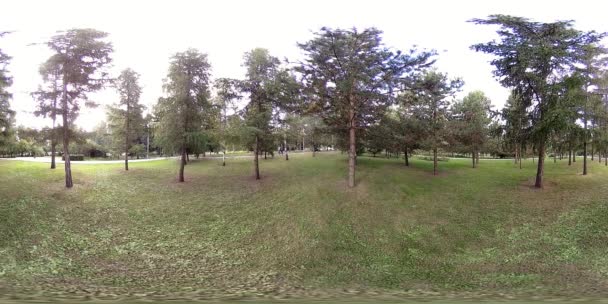 UHD 4K 360 VR Réalité virtuelle d'un parc municipal zone de loisirs. Arbres et herbe verte le jour d'automne ou d'été