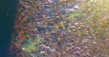 Güneşli yaz sabahında temiz ve taze bir dağ nehri üzerinde uçuşun ortasındayız. Üst görünüm ve yatay hareket