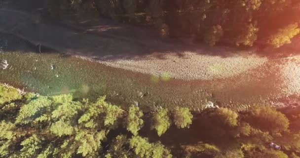 Vuelo en medio del aire sobre un río de montaña fresco y limpio en la soleada mañana de verano. Movimiento vertical — Vídeos de Stock