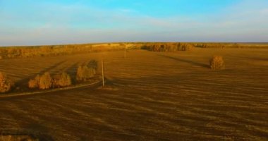 UHD 4k havadan görünümü. Havada uçak sarı kırsal alanın üzerinde