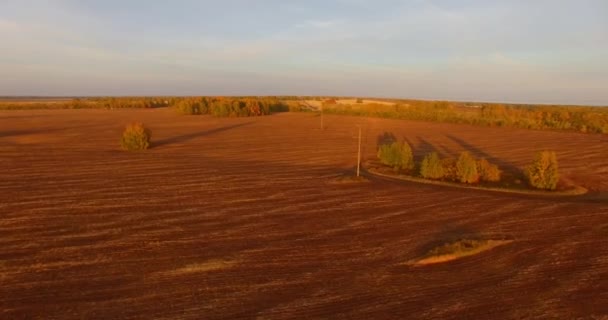 UHD 4K vista aérea. Vuelo en el aire sobre el campo rural amarillo — Vídeo de stock