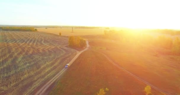 UHD 4K vue aérienne. Vol en vol au-dessus d'un champ rural jaune et d'un chemin de terre — Video