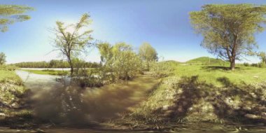 UHD 4K 360 VR Bir nehrin Sanal Gerçekliği güzel dağ ormanlarında kayaların üzerinden akıyor