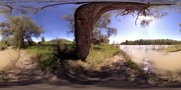 UHD 4K 360 VR La realidad virtual de un río fluye sobre rocas en un hermoso paisaje de bosque de montaña — Vídeo de stock