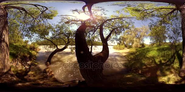 UHD 4K 360 VR La realtà virtuale di un fiume scorre sulle rocce in un bellissimo paesaggio forestale di montagna — Video Stock