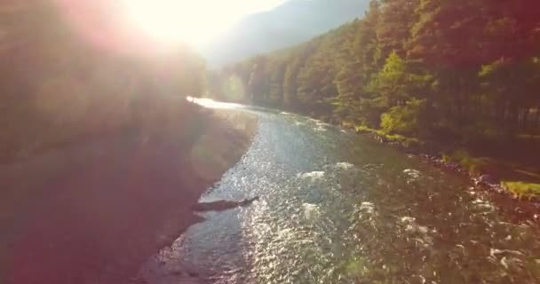 Közepén légijárat, napsütéses nyári reggel friss és tiszta hegyi folyón — Stock videók