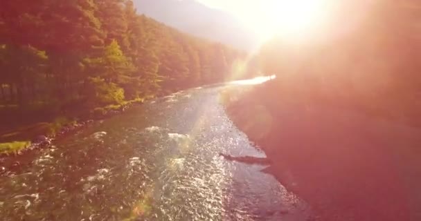 Vol en vol au-dessus d'une rivière de montagne fraîche et propre au matin ensoleillé d'été — Video
