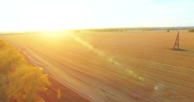 UHD 4K hava görüntüsü. Sarı kırsal alan ve toprak yol üzerinde orta-uçuş