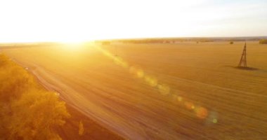 UHD 4K hava görüntüsü. Sarı kırsal alan ve toprak yol üzerinde orta-uçuş