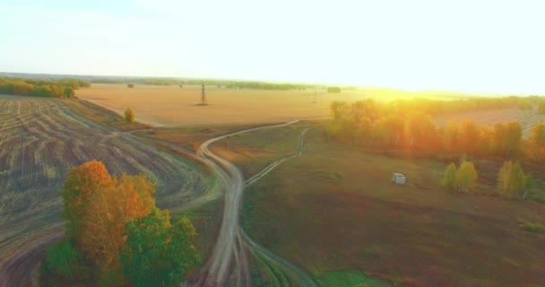 UHD 4K hava görüntüsü. Sarı kırsal alan ve toprak yol üzerinde orta-uçuş — Stok video