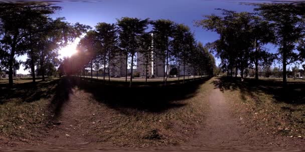 UHD 4K 360 VR Realidade Virtual de uma área de recreação do parque da cidade. Árvores e grama verde no outono ou no dia de verão — Vídeo de Stock