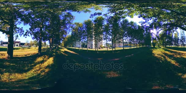 UHD 4K 360 VR Virtual Reality van een recreatiegebied in een stadspark. Bomen en groen gras op herfst- of zomerdag — Stockvideo