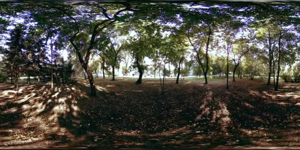 UHD 4K 360 VR Réalité virtuelle d'un parc municipal zone de loisirs. Arbres et herbe verte le jour d'automne ou d'été