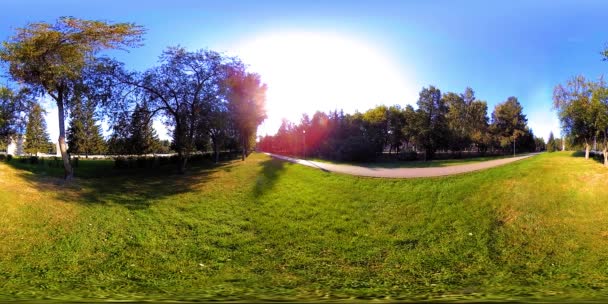 UHD 4K 360 VR Virtual Reality eines Erholungsgebietes im Stadtpark. Bäume und grünes Gras am Herbst- oder Sommertag — Stockvideo