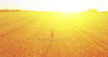 Bir büyük buğday tarlada yürüyen genç adam turist üzerinde düşük uçuş