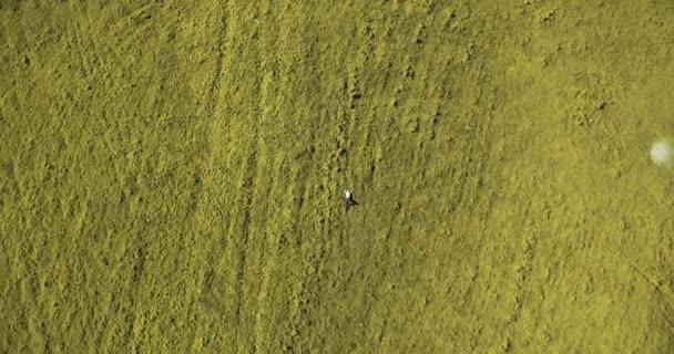 Vol vertical au-dessus d'un homme d'affaires allongé sur un pré vert frais. Vue de dessus sur homme relaxant .