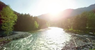 4 k Uhd havadan görünümü. Düşük uçuş üzerinde taze soğuk dağ nehir kıyısında güneşli yaz sabahı.