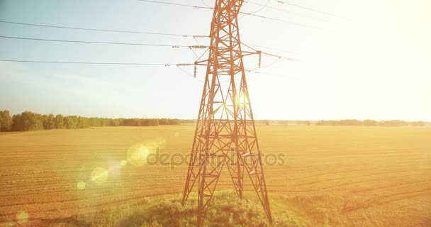 Vuelo de movimiento vertical cerca de la torre de alta tensión y líneas eléctricas en el campo verde y amarillo — Vídeos de Stock