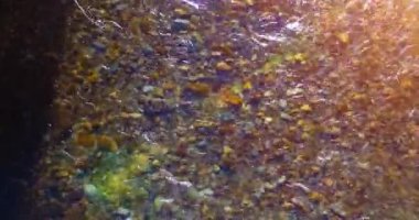 Güneşli yaz sabahında temiz ve taze bir dağ nehri üzerinde uçuşun ortasındayız. Üst görünüm ve yatay hareket