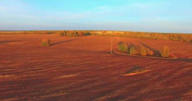 UHD 4k havadan görünümü. Havada uçak sarı kırsal alanın üzerinde