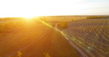 UHD 4K hava görüntüsü. Sarı kırsal alan ve toprak yol üzerinde orta-uçuş