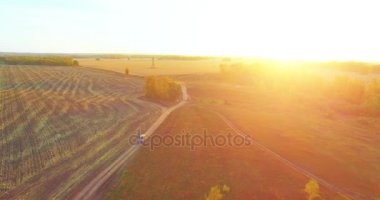 UHD 4K hava görüntüsü. Sarı kırsal alan ve toprak yol üzerinde orta-uçuş
