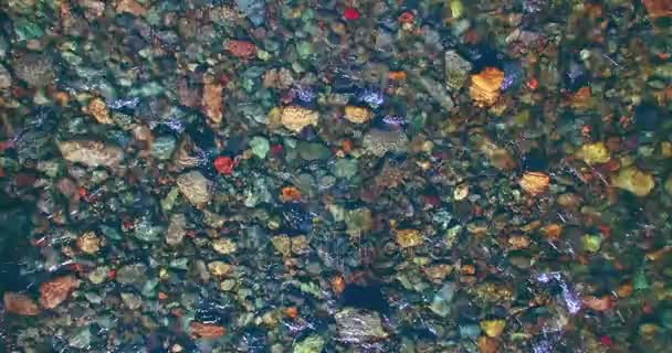 Volo a mezz'aria sul fiume di montagna fresco e pulito al soleggiato mattino d'estate. Vista dall'alto e movimento orizzontale — Video Stock