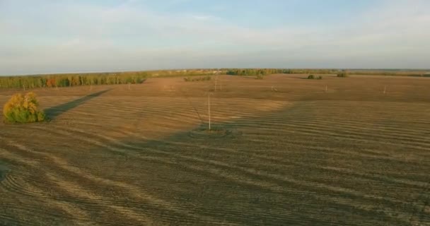 UHD 4K vista aérea. Vuelo en el aire sobre el campo rural amarillo — Vídeos de Stock