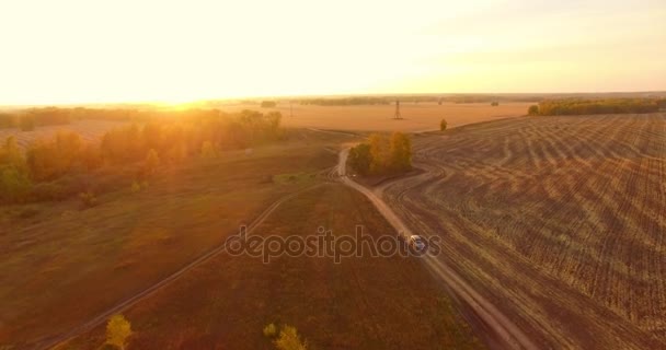 Vista aerea UHD 4K. Volo a mezz'aria su campo giallo rurale e strada sterrata — Video Stock