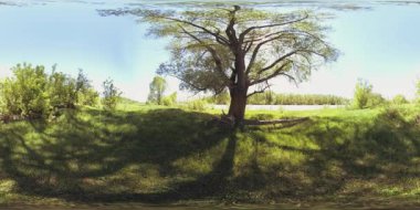 UHD 4K 360 VR Bir nehrin Sanal Gerçekliği güzel dağ ormanlarında kayaların üzerinden akıyor